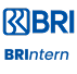 BRIntern